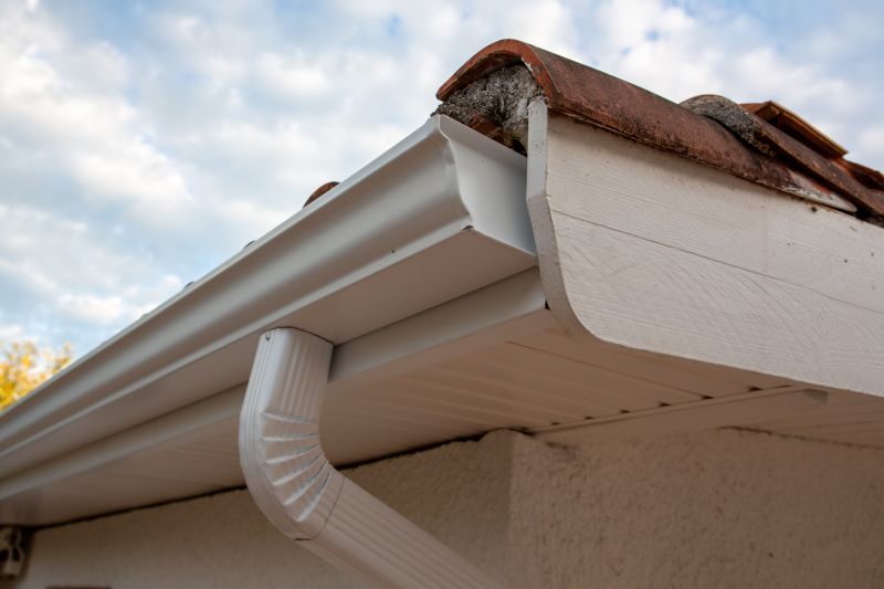 Gutter and Roof System Care